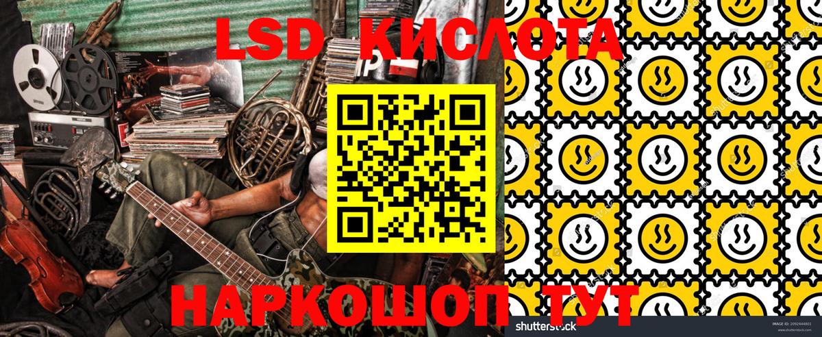 Бердск  Наркотические марки 1500мкг  Наркотические марки 1500мкг  хочу наркоту  Вход с VPN 