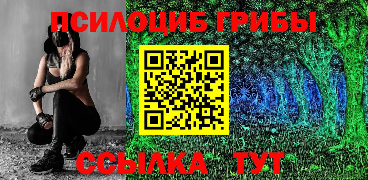 Галлюциногенные грибы Magic Shrooms  Вход с VPN  Бердск 