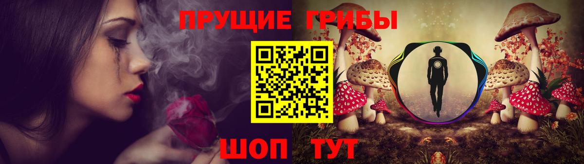 Псилоцибиновые грибы Cubensis Бердск