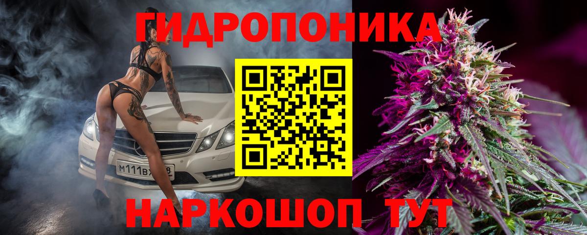 Шишки марихуана сатива  Вход с VPN  Бердск  Марихуана семена  Конопля сатива 